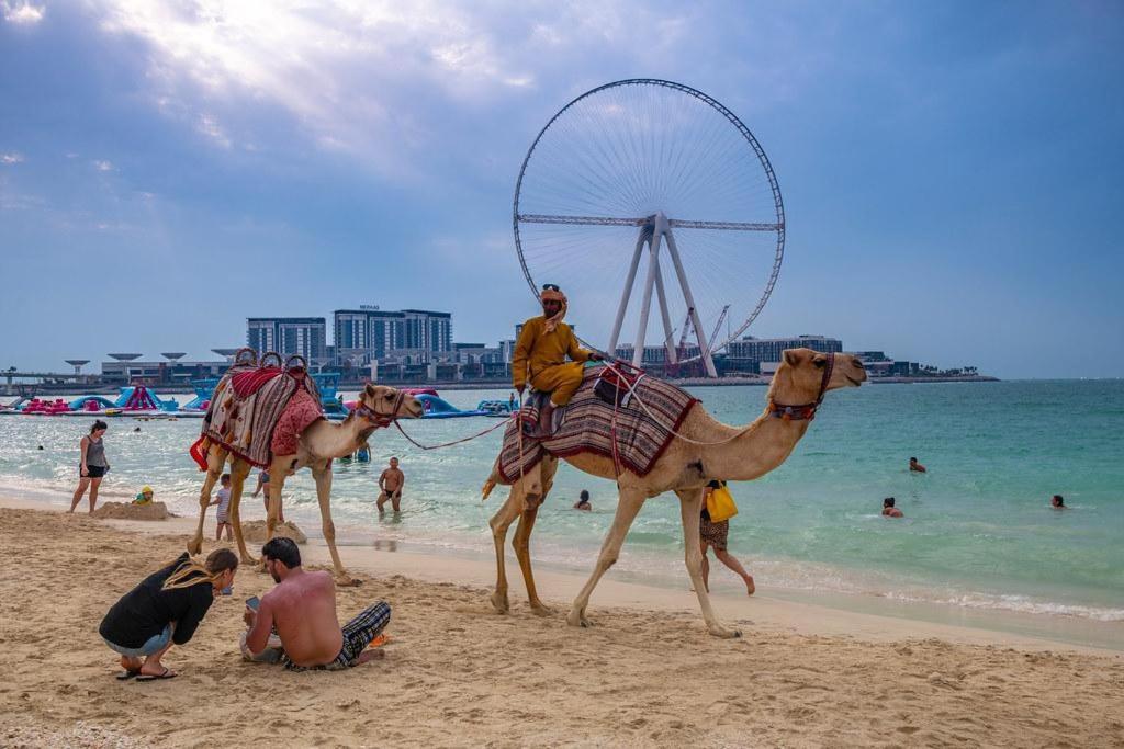 Success Luxury Apartment - 5 Min Away Marina Corniche - Free Housekeeping Provided Everyday-24-7 Staff Available For Services Dubai Exteriör bild